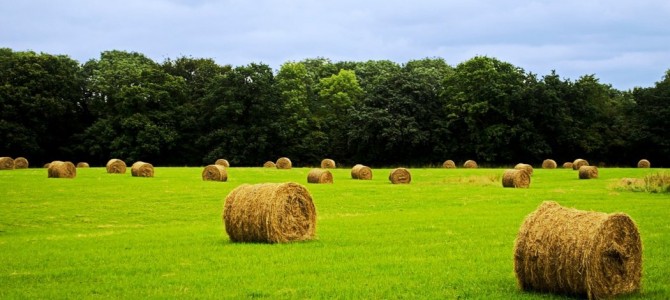 Imu Agricola: la legge migliora il decreto, ma c’è ancora da lavorare