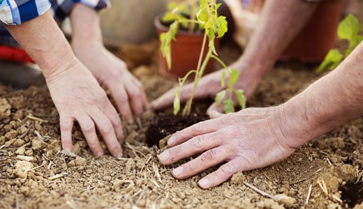 Agricoltura Sociale: multifunzionalità e tradizione diventano legge