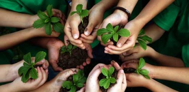 Collegato Ambiente: una legge per l’ambiente e i territori